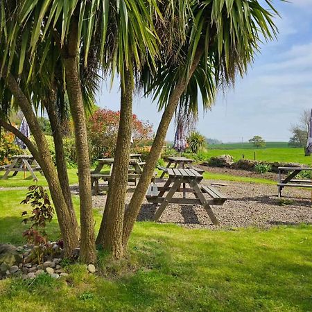 The Pack Horse Inn Chathill المظهر الخارجي الصورة
